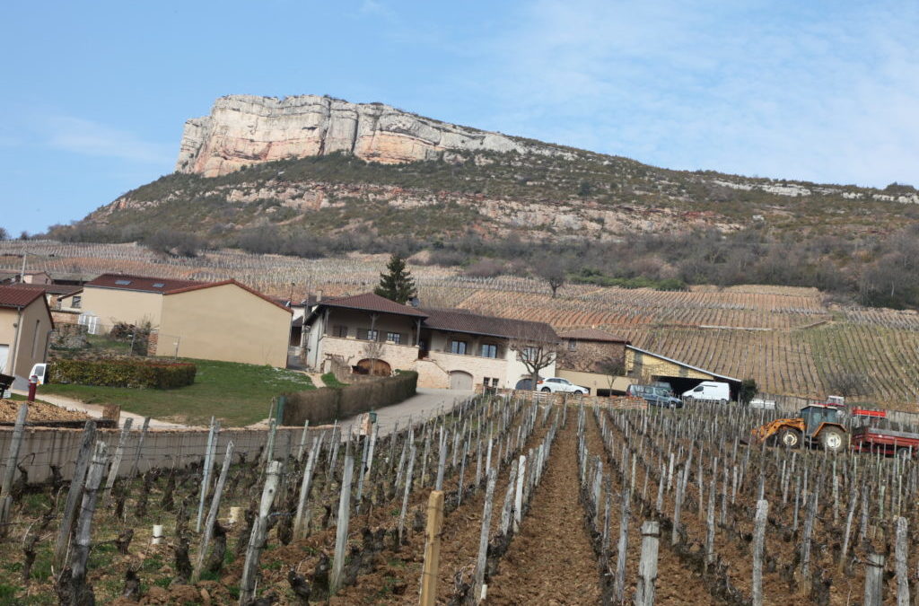 C’est quoi un vin minéral ?